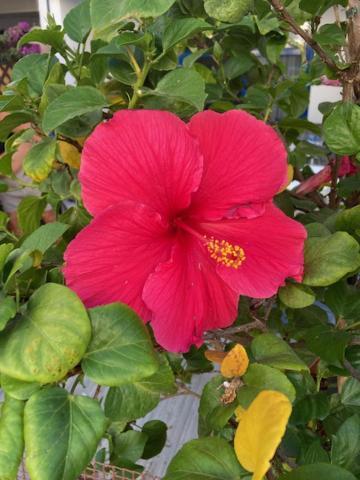 Duplex Maspalomas 마스팔로마스 외부 사진